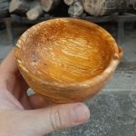کاسه خراطی